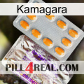 Kamagara new12